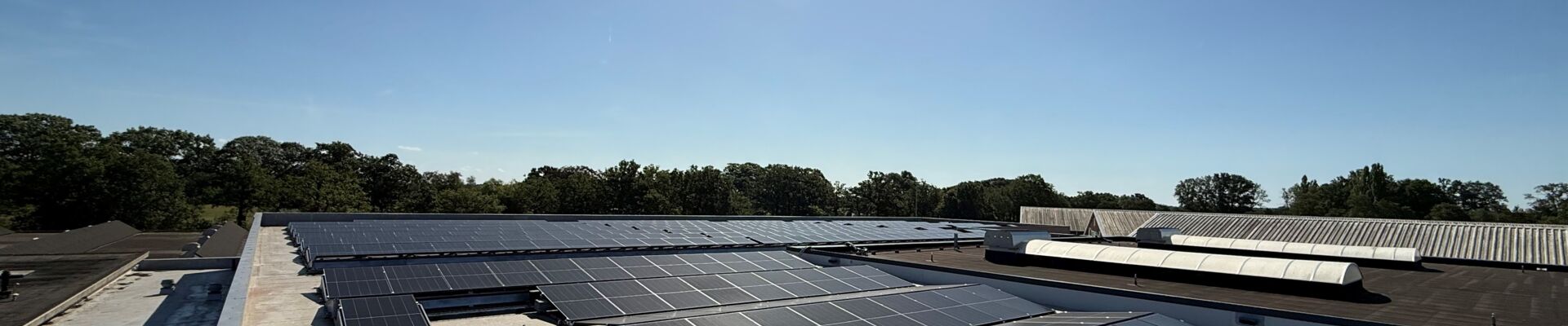Verduurzaming plant Loenen