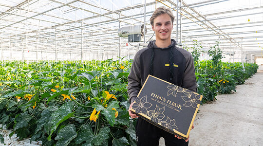 Premium verpakking voor courgettebloemen die de wereld over gaan